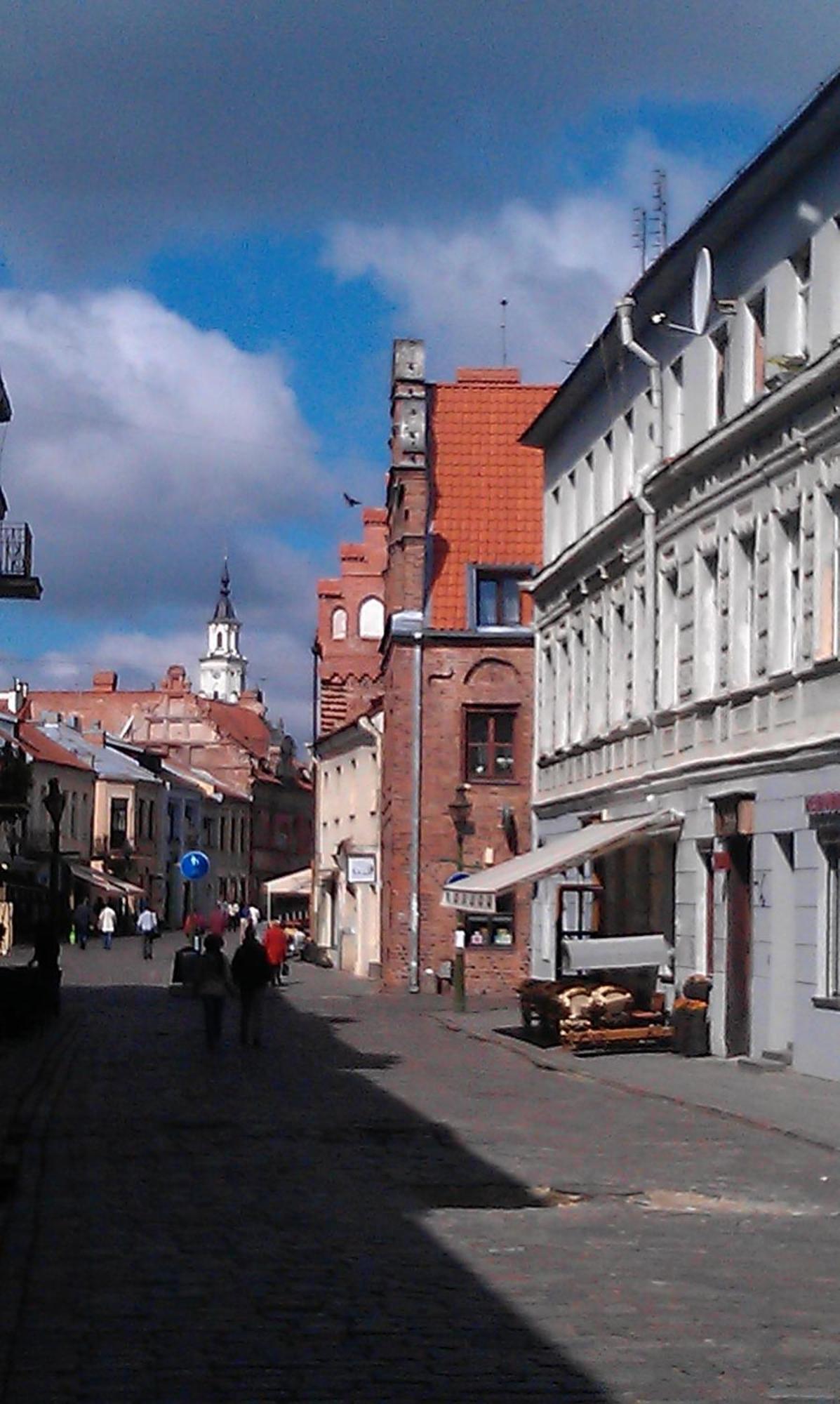 Hostel Lux Kaunas Kültér fotó